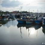 Přístav v Negombo, Šrí Lanka